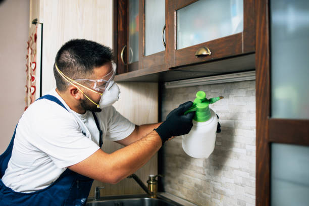 Best Best Pest Control Companies  in Ckam Housing, HI