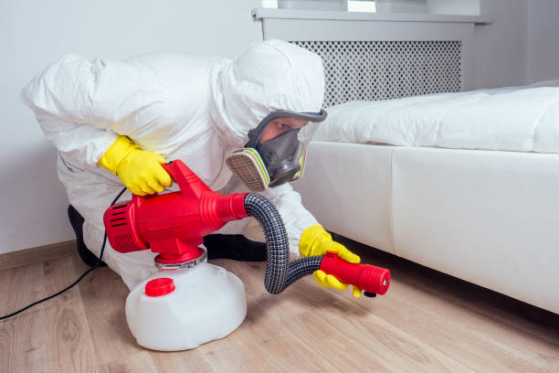 Best Local Pest Control Services  in Ckam Housing, HI